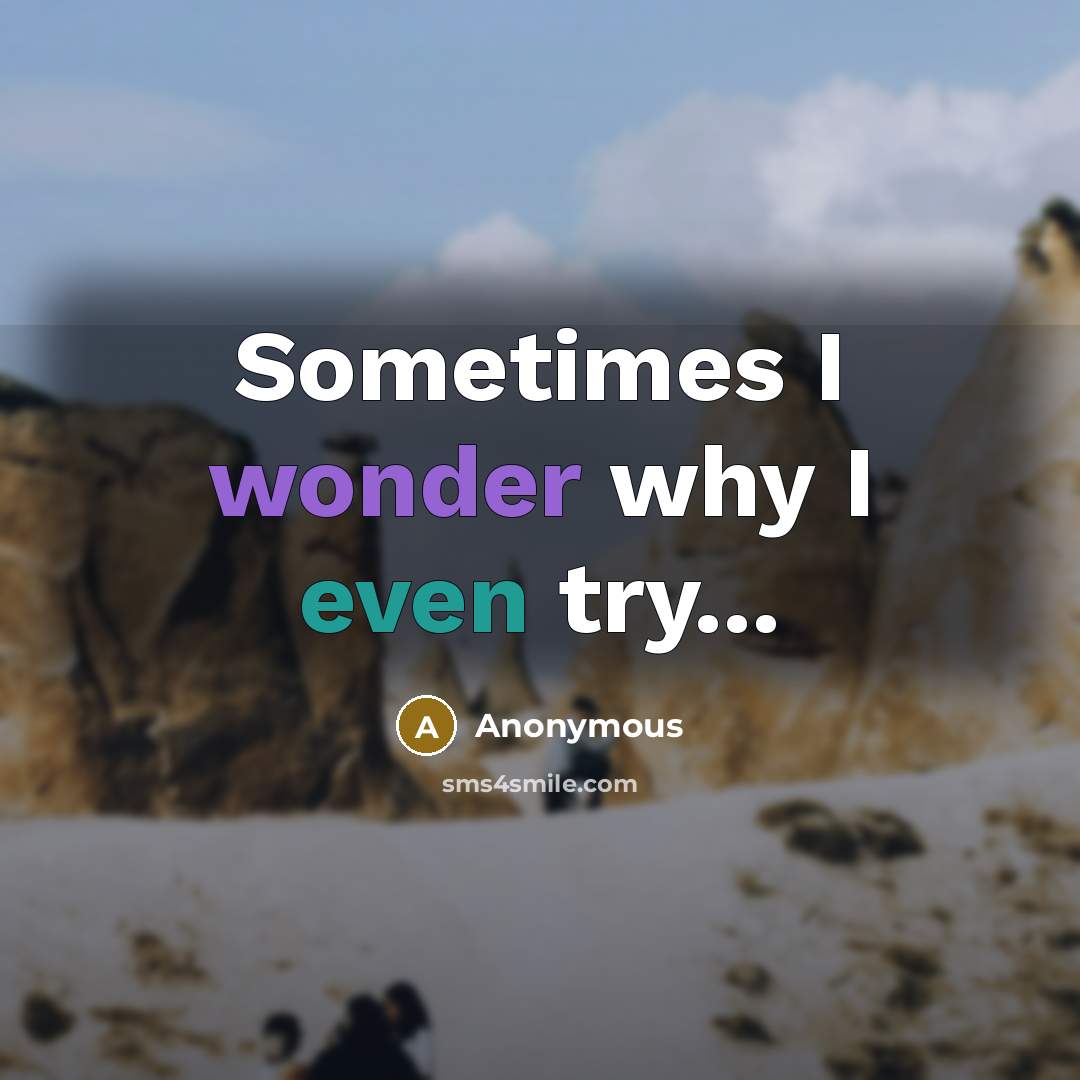 “Sometimes I wonder why I even try...” quote by Anonymous