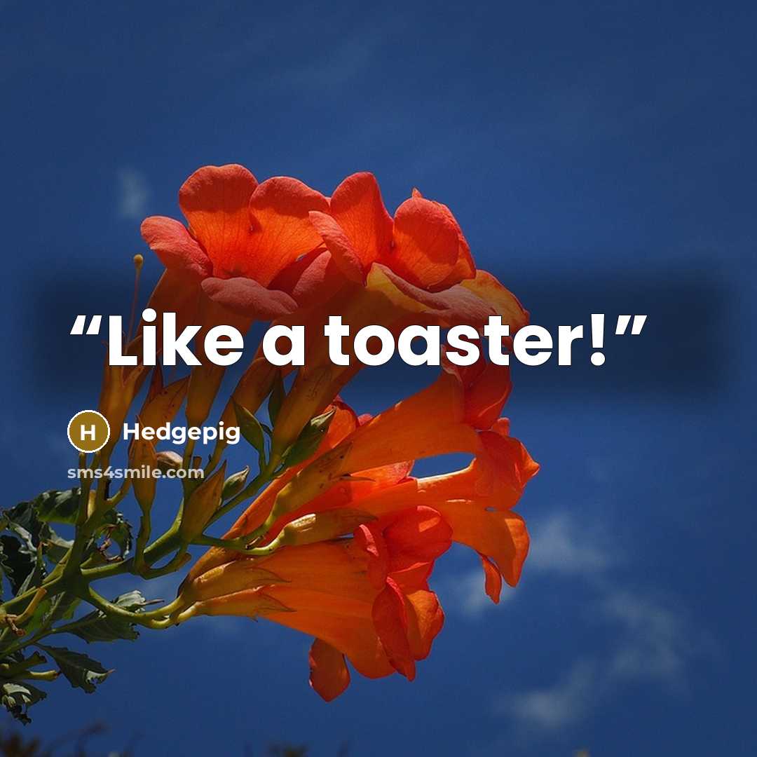 “Like a toaster!” quote by Hedgepig