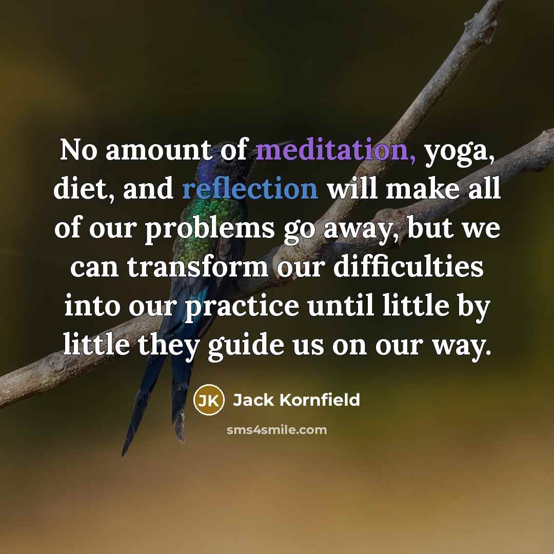 “No amount of meditation, yoga, diet, and reflection will make…” quote by Jack Kornfield