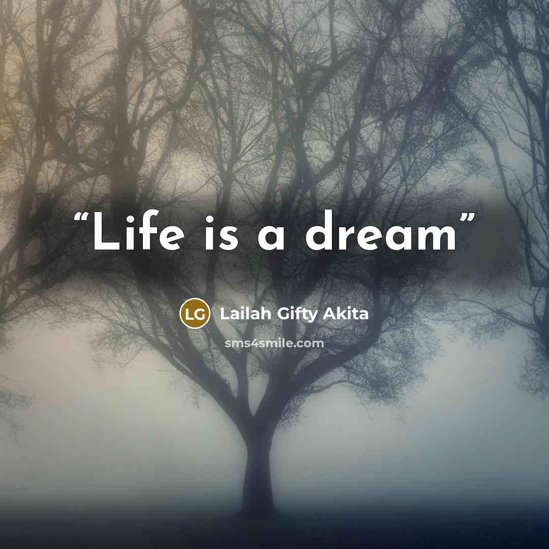 “Life is a dream” quote by Lailah Gifty Akita