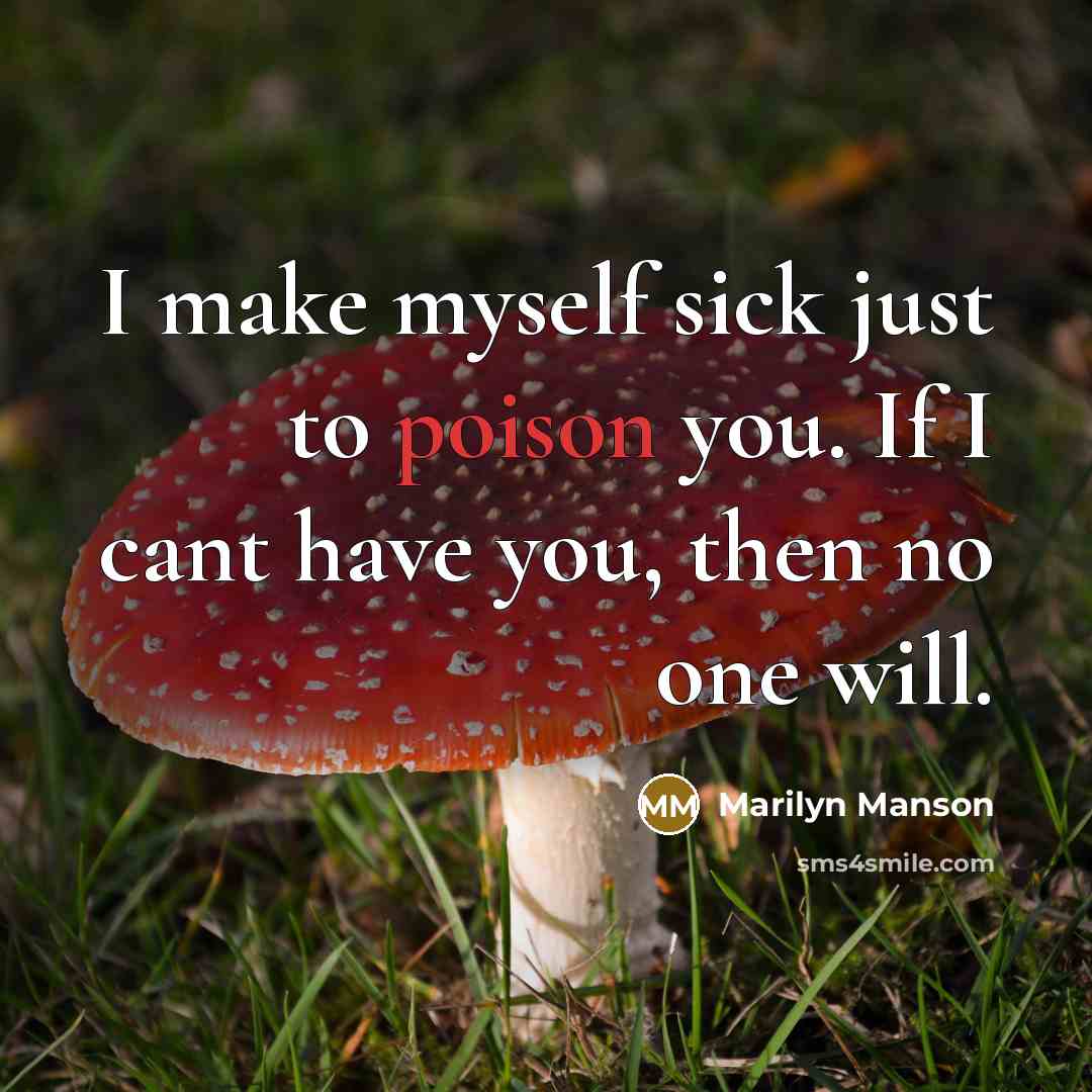 “I make myself sick just to poison you. If I cant have you, then no one will.” quote by Marilyn Manson