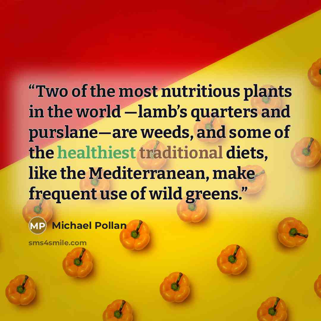 “Two of the most nutritious plants in the world —lamb’s quarters and purslane—are weeds, and some of the healthiest traditional diets, like the Mediterranean, make frequent use of wild greens.” quote by Michael Pollan