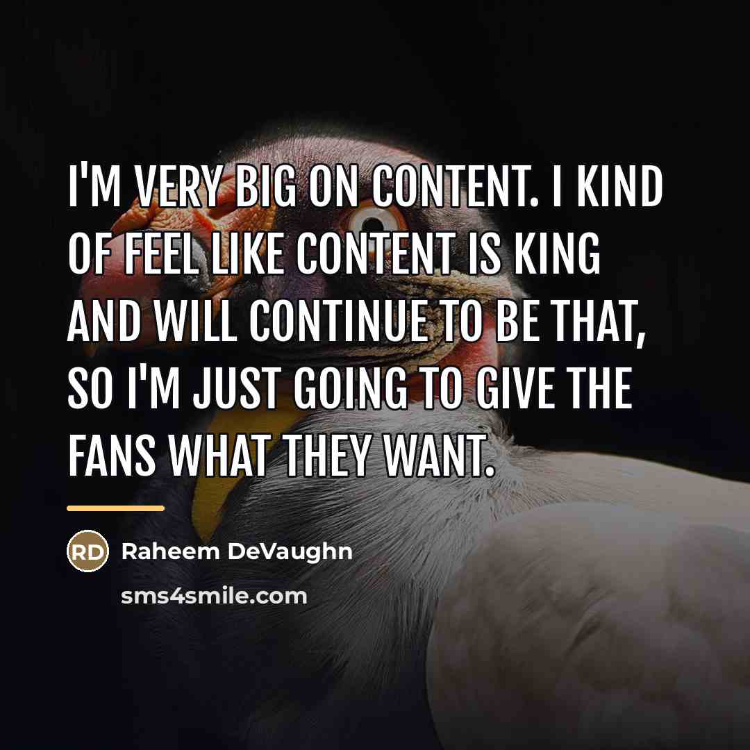 “I'm very big on content. I kind of feel like…” quote by Raheem DeVaughn
