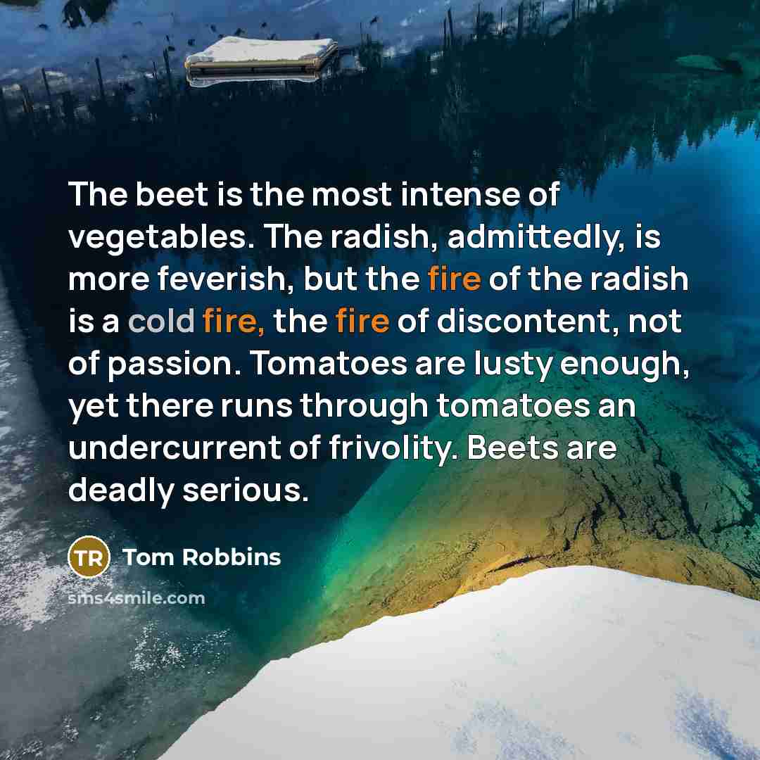 “The beet is the most intense of vegetables. The radish,…” quote by Tom Robbins