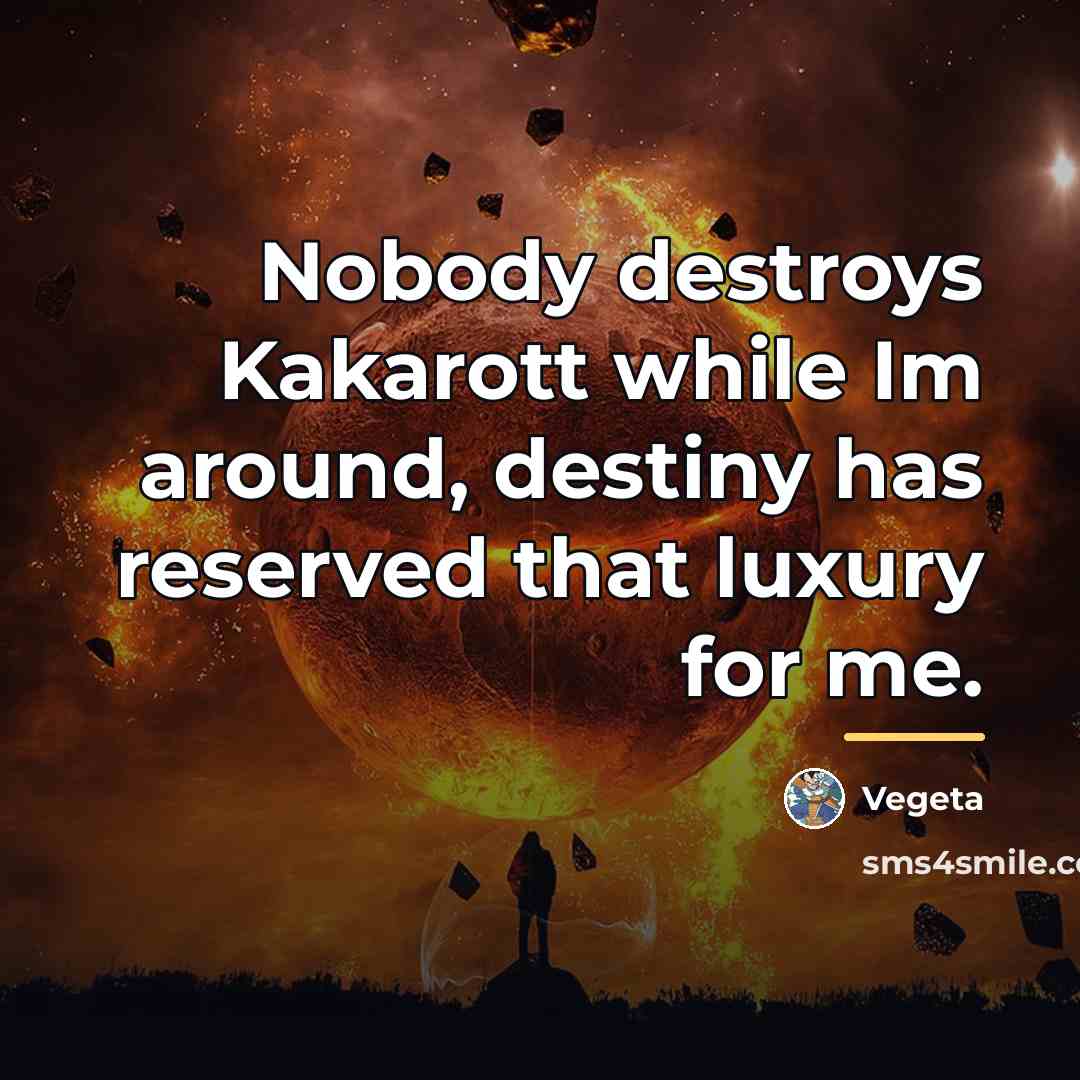 “Nobody destroys Kakarott while Im around, destiny has reserved that…” quote by Vegeta