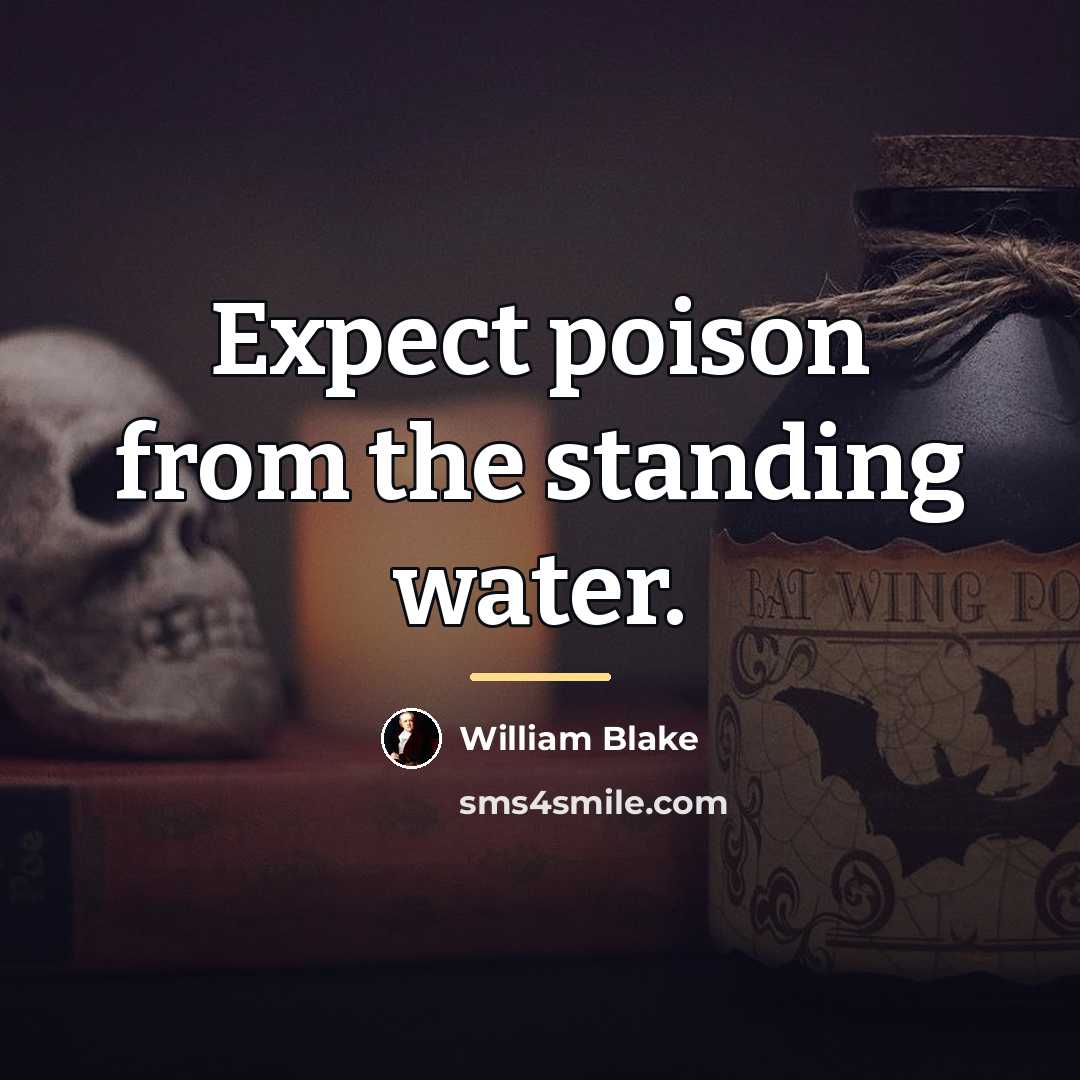 “Expect poison from the standing water.…” quote by William Blake
