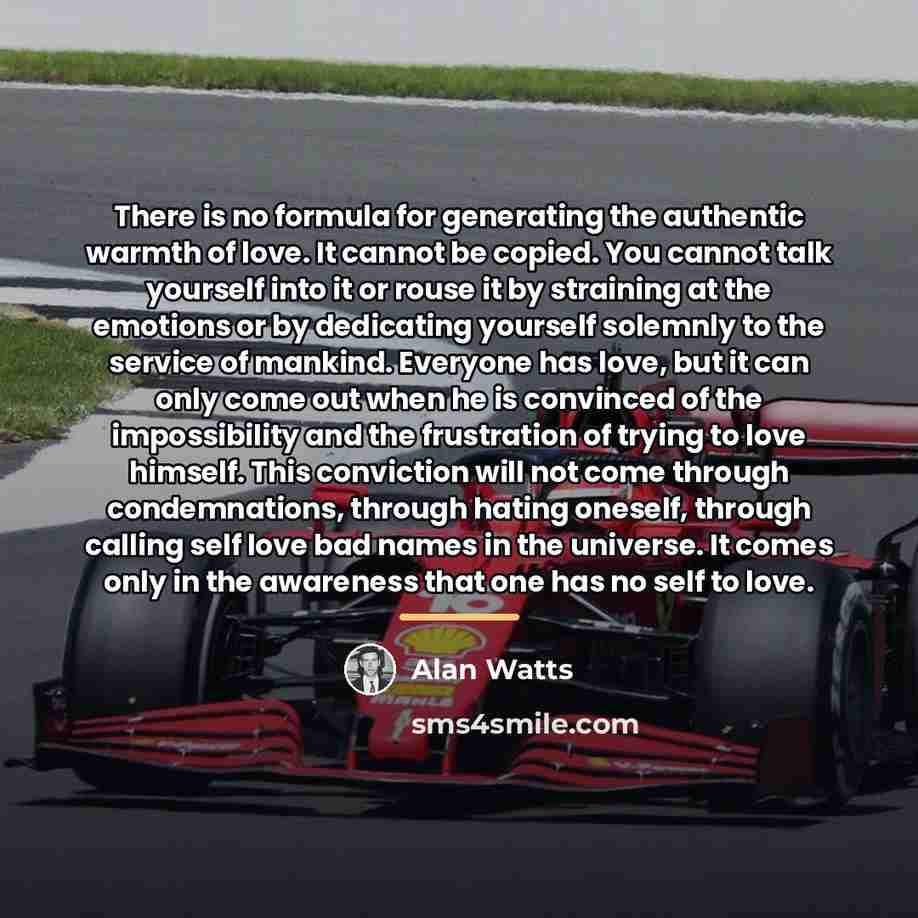 “There is no formula for generating the authentic warmth of…” quote by Alan Watts