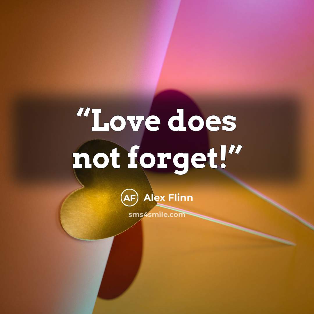 “Love does not forget!” quote by Alex Flinn