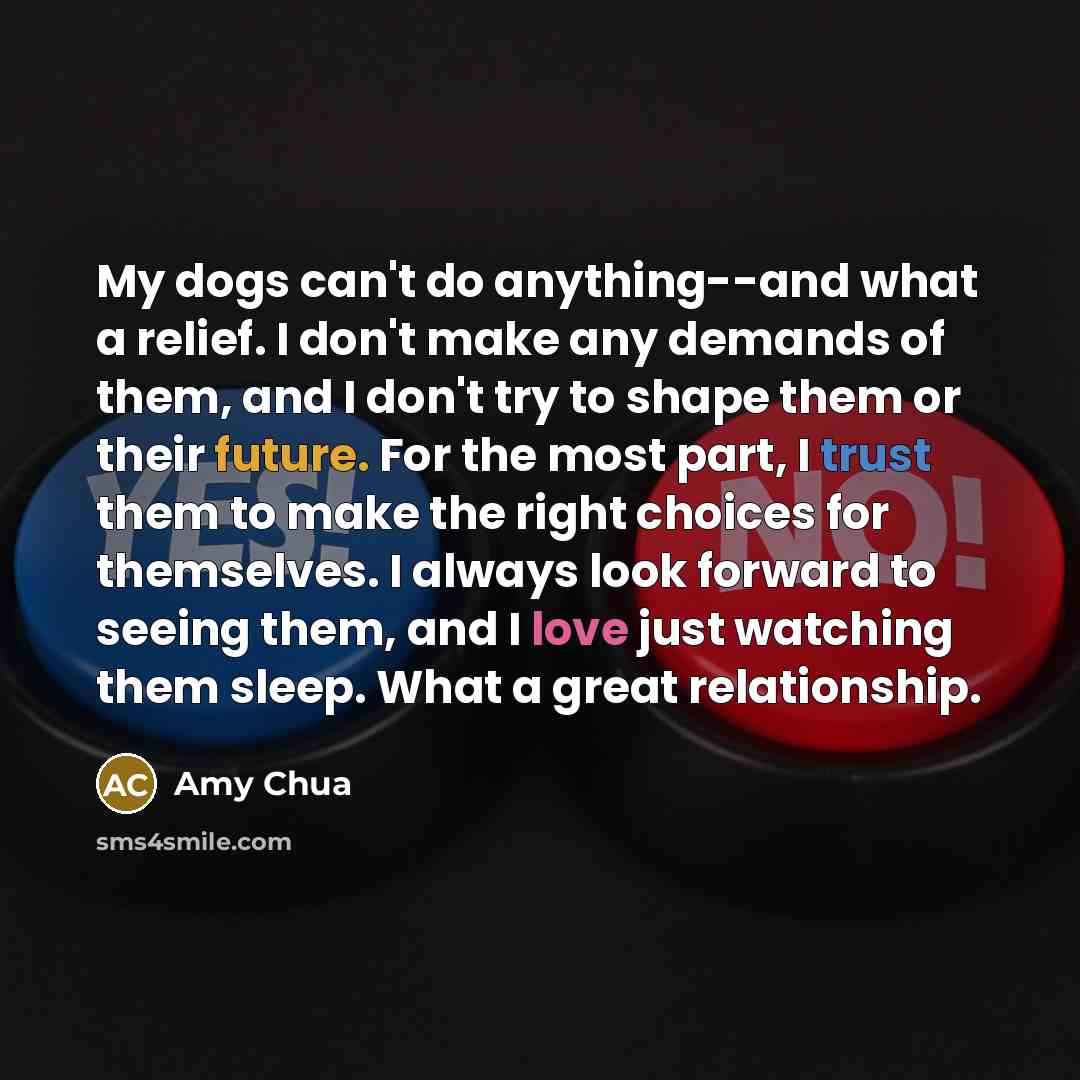 “My dogs can't do anything--and what a relief. I don't make any demands of them, and I don't try to shape them or their future. For the most part, I trust them to make the right choices for themselves. I always look forward to seeing them, and I love just watching them sleep. What a great…” quote by Amy Chua