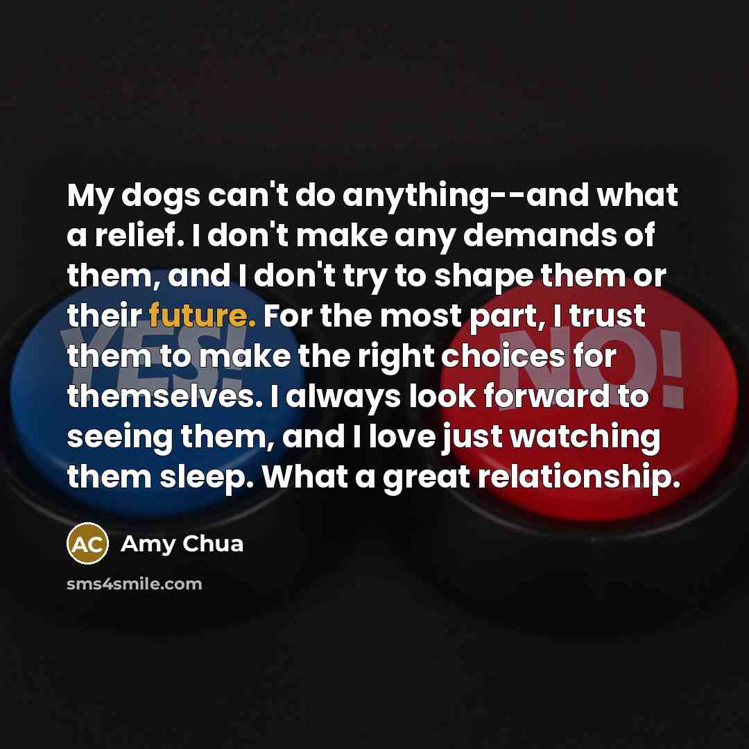 “My dogs can't do anything--and what a relief. I don't…” quote by Amy Chua