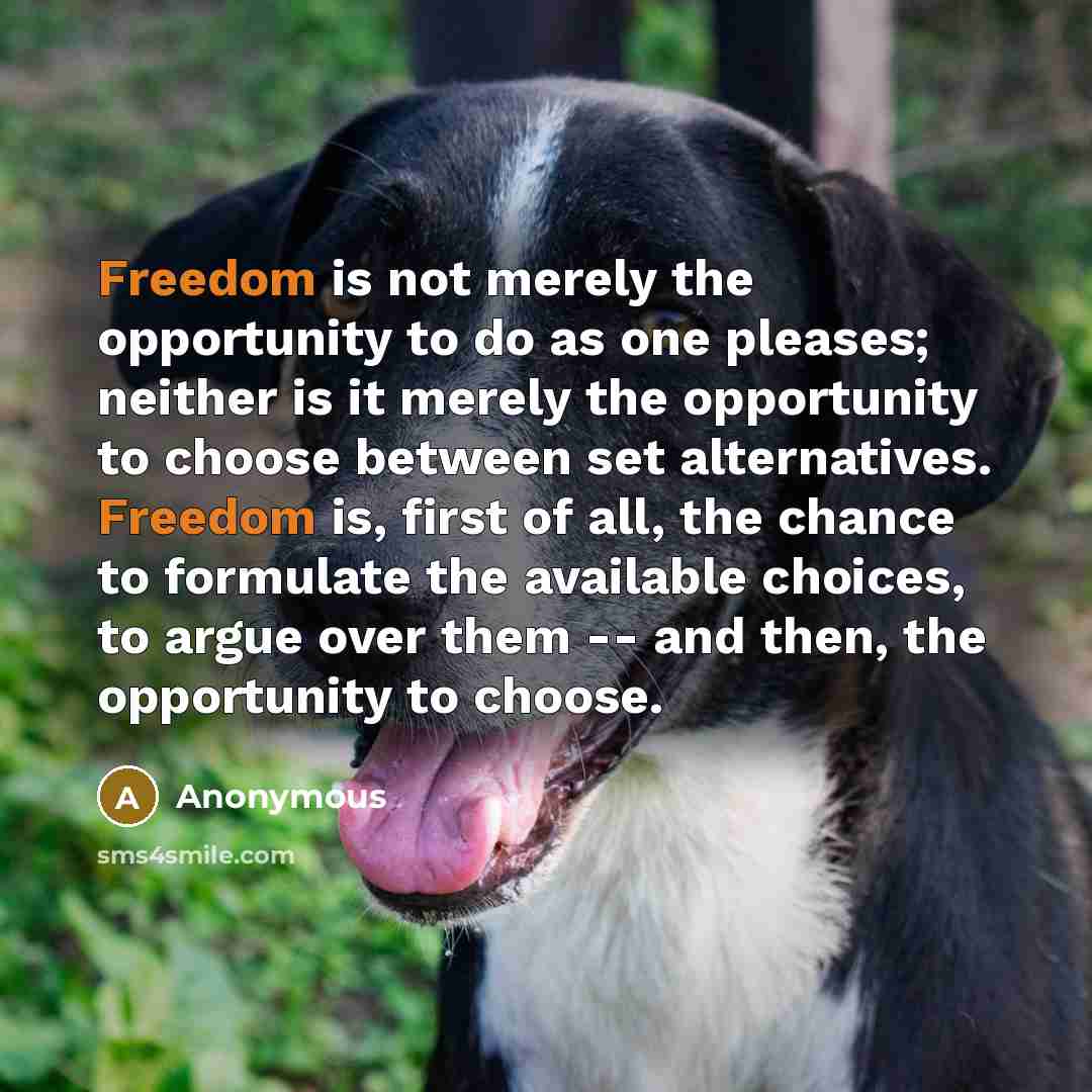 “Freedom is not merely the opportunity to do as one…” quote by Anonymous