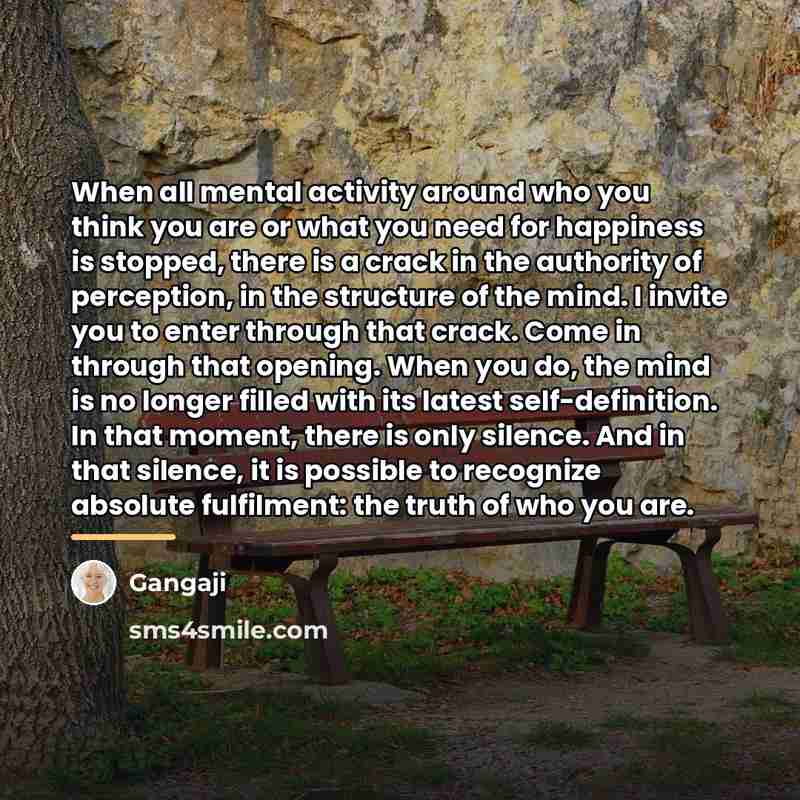 “When all mental activity around who you think you are…” quote by Gangaji