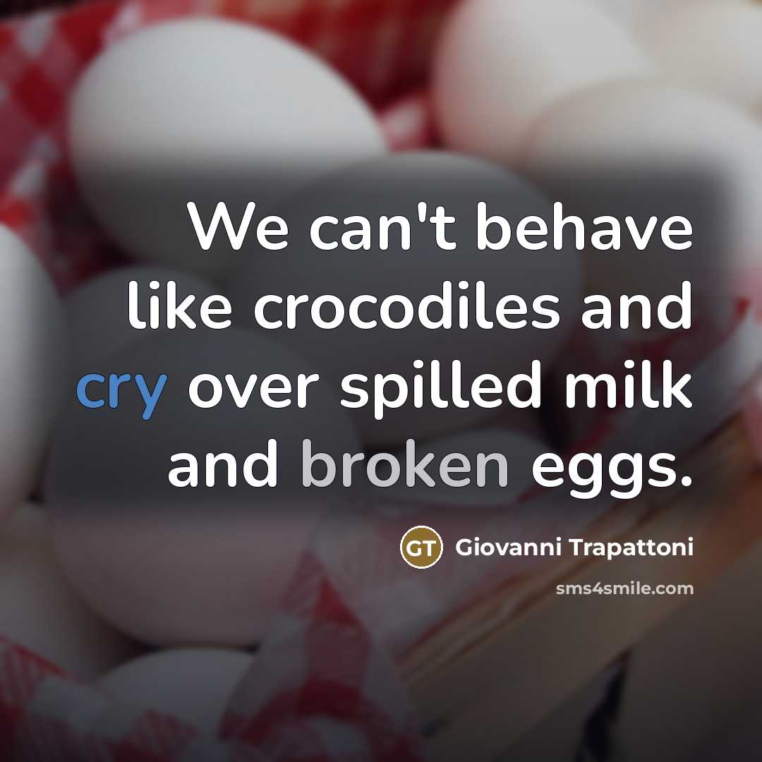 “We can't behave like crocodiles and cry over spilled milk…” quote by Giovanni Trapattoni
