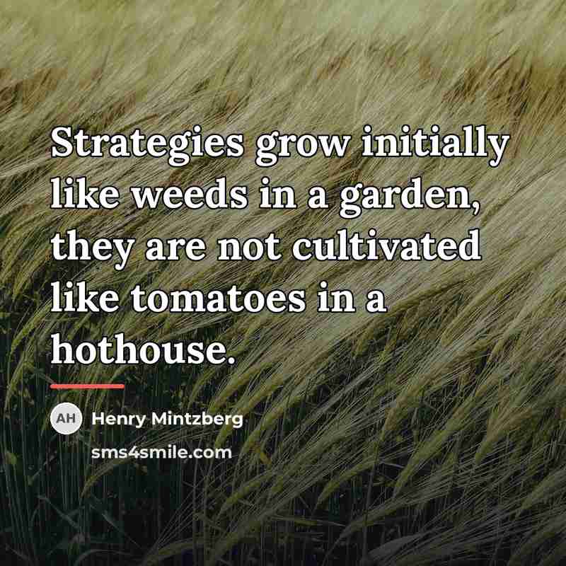 “Strategies grow initially like weeds in a garden, they are…” quote by Henry Mintzberg