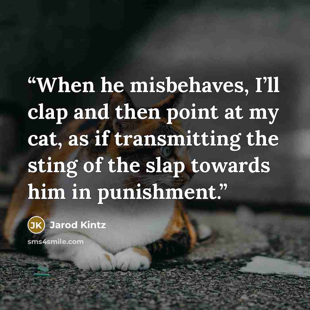 “When he misbehaves, I’ll clap and then point at my cat, as if transmitting the sting of the slap towards him in punishment.” quote by Jarod Kintz