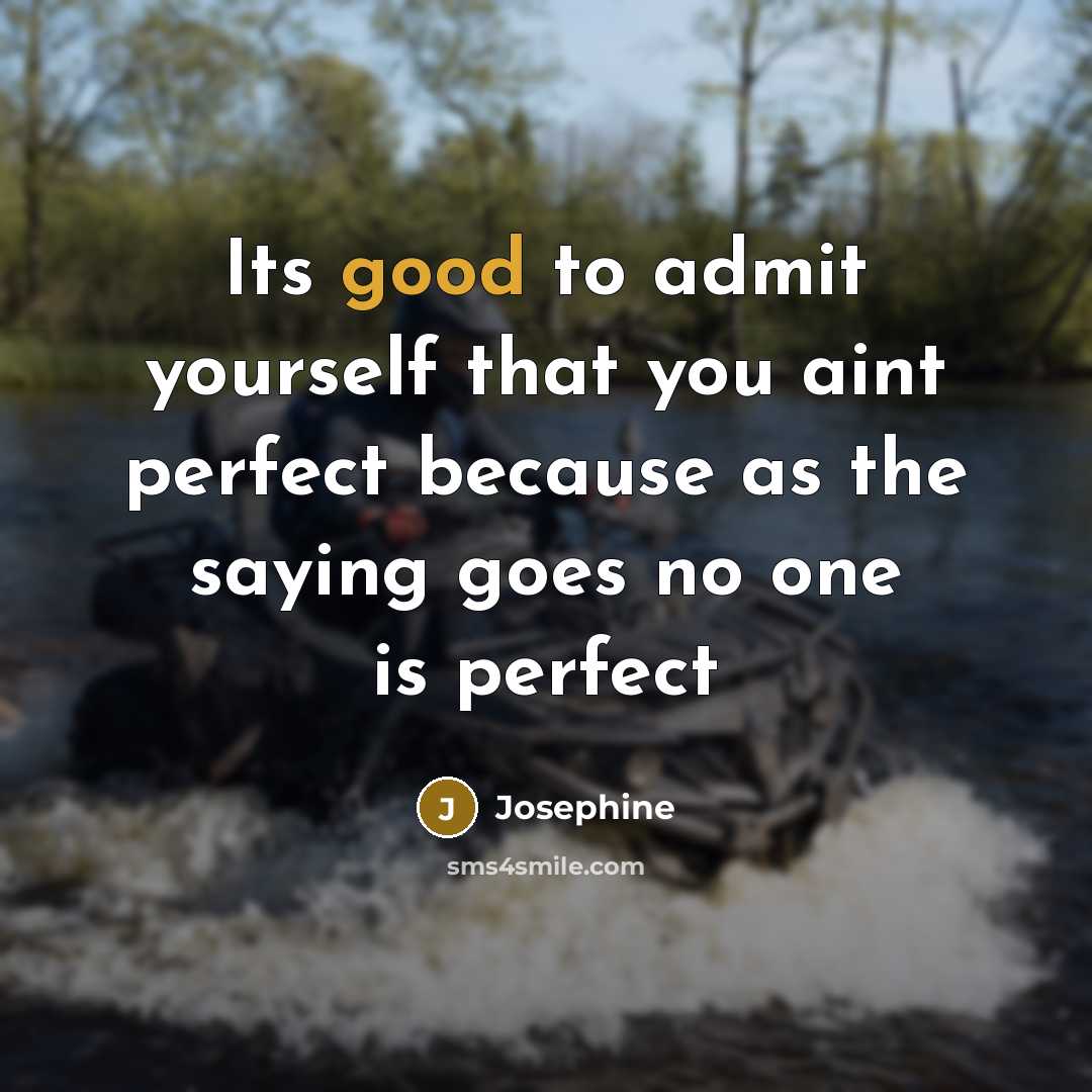 “Its good to admit yourself that you aint perfect because…” quote by Josephine