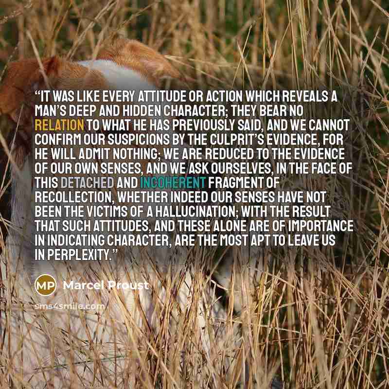 “It was like every attitude or action which reveals a man’s deep and hidden character; they bear no relation to what he has previously said, and we cannot confirm our suspicions by the culprit’s evidence, for he will admit nothing; we are reduced to the evidence of our own senses, and we ask…” quote by Marcel Proust