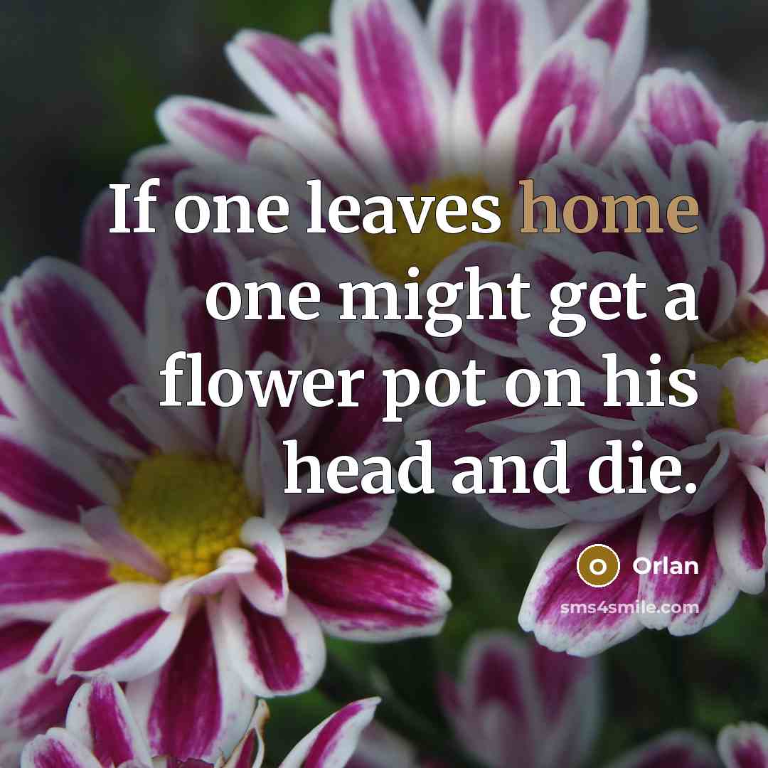“If one leaves home one might get a flower pot…” quote by Orlan