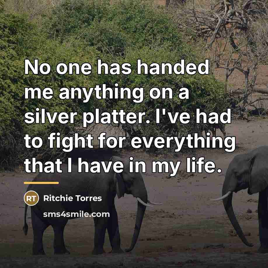 “No one has handed me anything on a silver platter.…” quote by Ritchie Torres