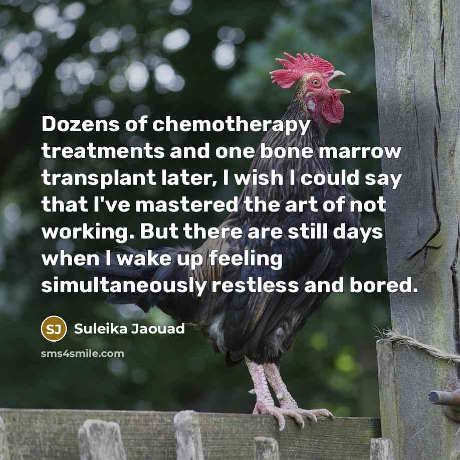 “Dozens of chemotherapy treatments and one bone marrow transplant later,…” quote by Suleika Jaouad