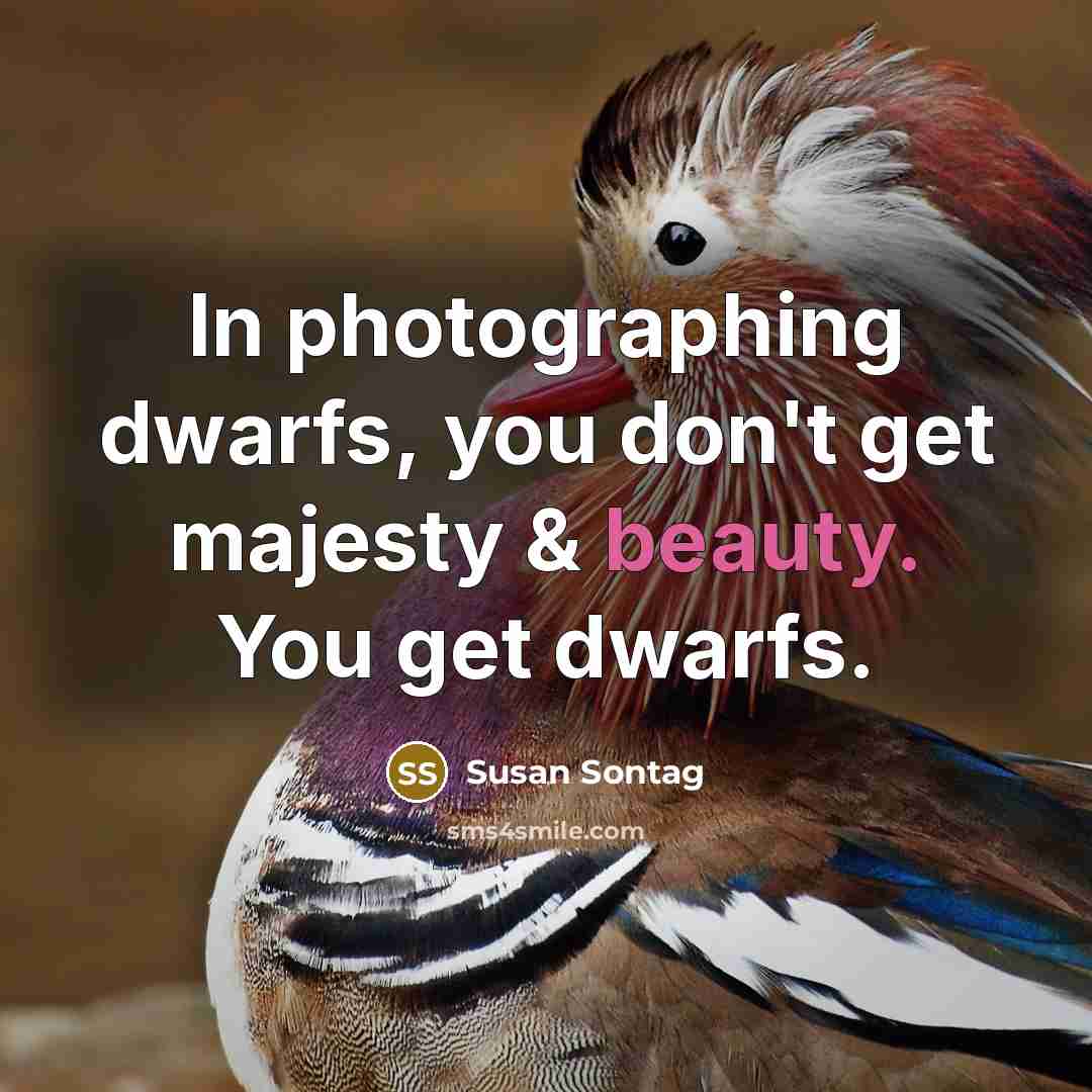 “In photographing dwarfs, you don't get majesty & beauty. You…” quote by Susan Sontag