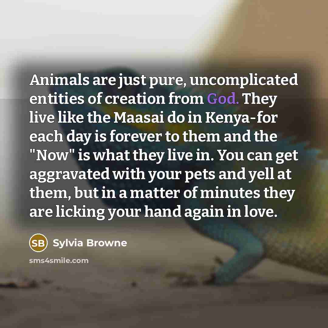 “Animals are just pure, uncomplicated entities of creation from God.…” quote by Sylvia Browne