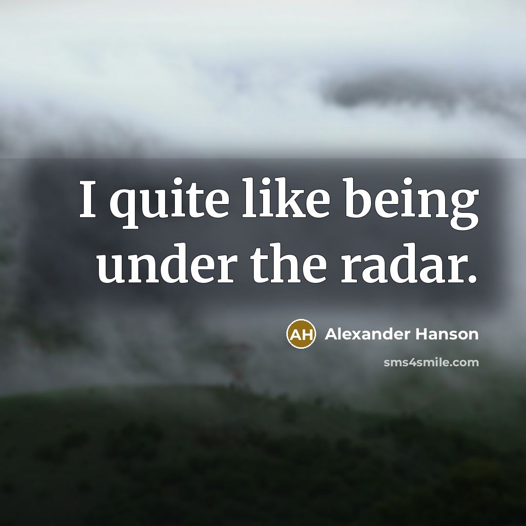 “I quite like being under the radar.…” quote by Alexander Hanson