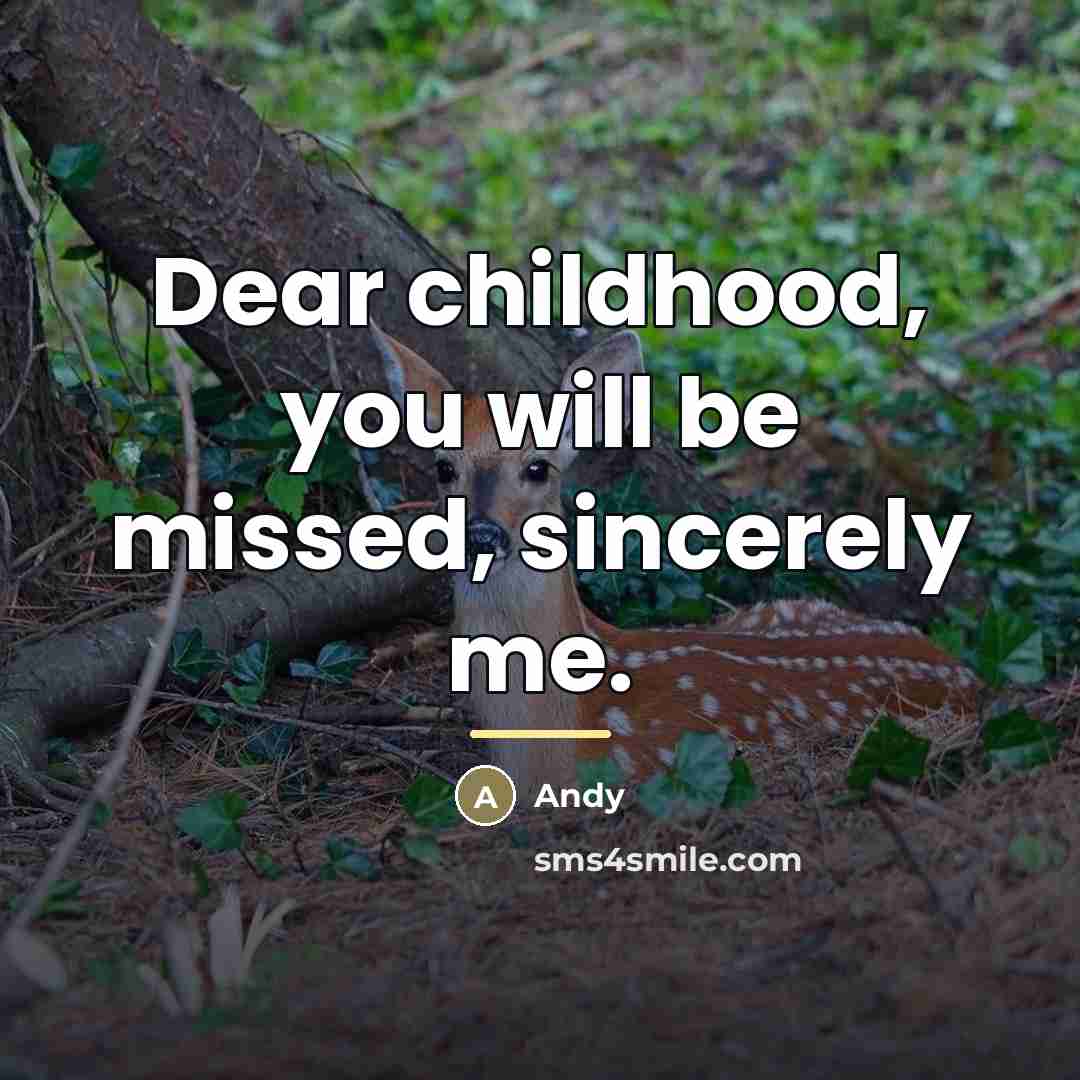 “Dear childhood, you will be missed, sincerely me.…” quote by Andy