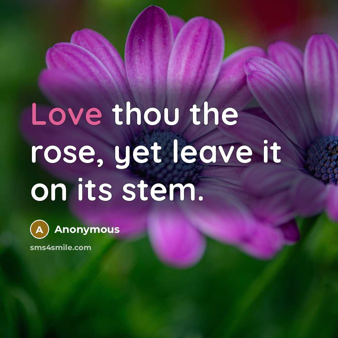 “Love thou the rose, yet leave it on its stem.” quote by Anonymous