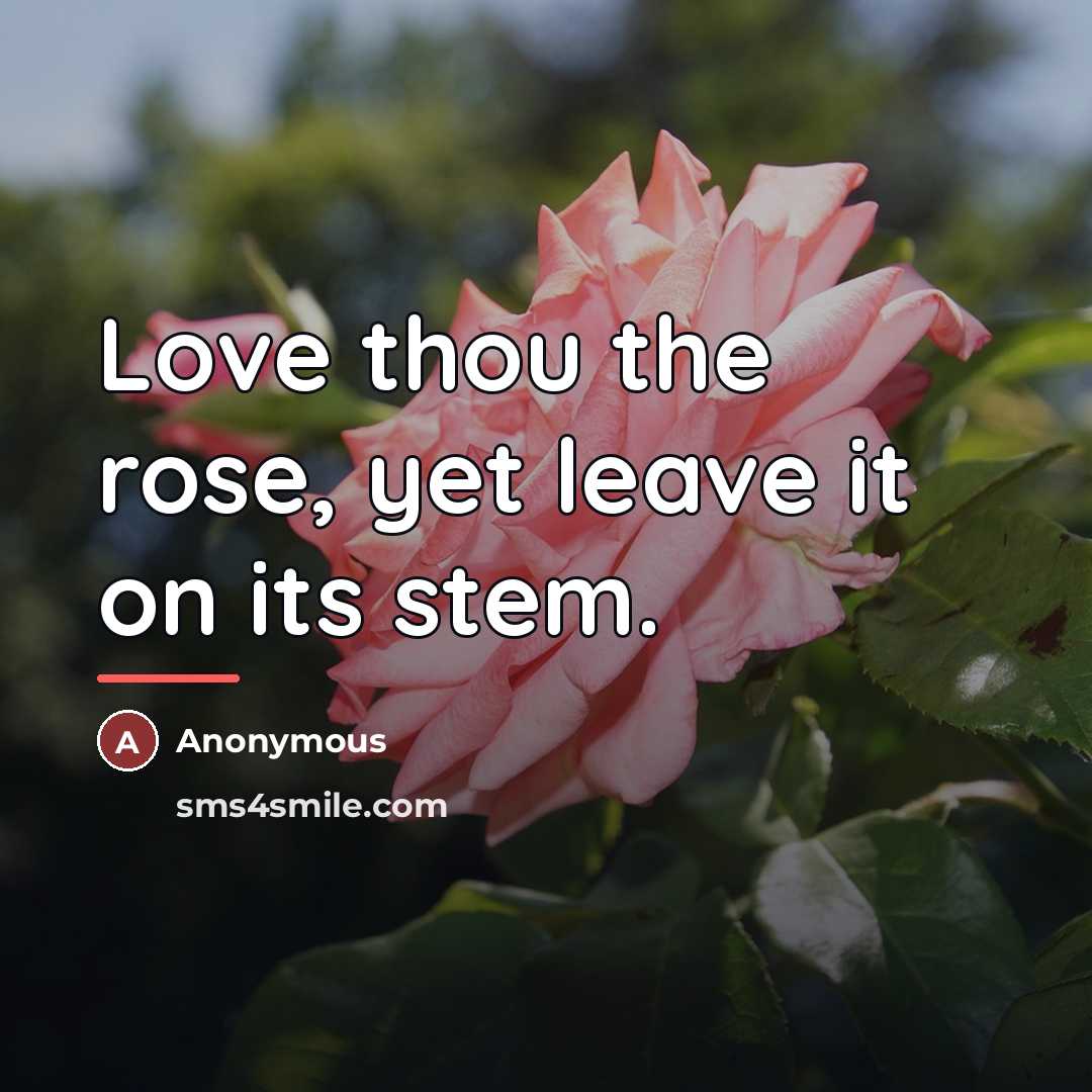 “Love thou the rose, yet leave it on its stem.…” quote by Anonymous