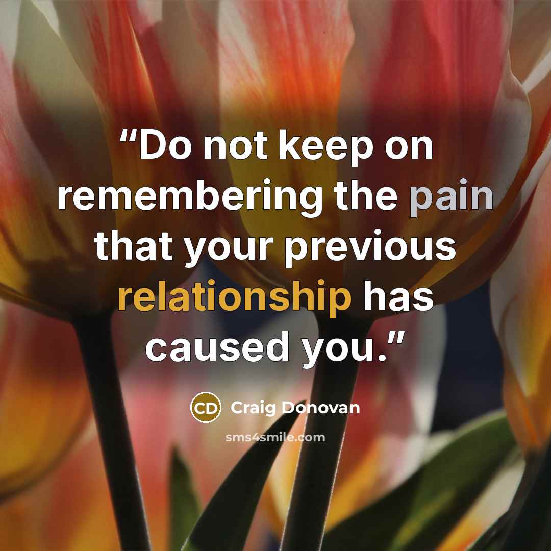 “Do not keep on remembering the pain that your previous relationship has caused you.” quote by Craig Donovan