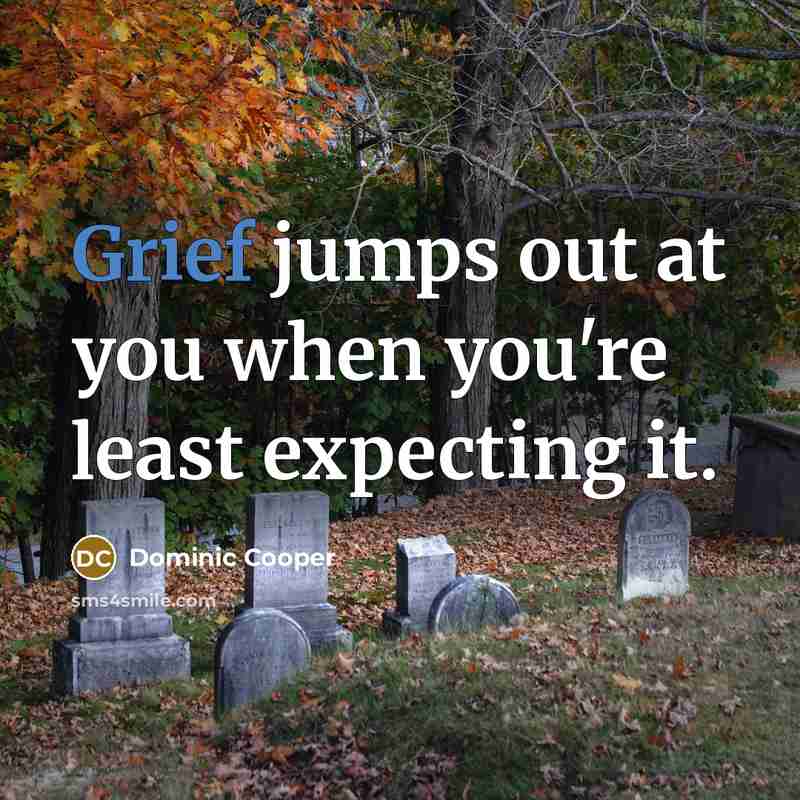 “Grief jumps out at you when you're least expecting it.…” quote by Dominic Cooper
