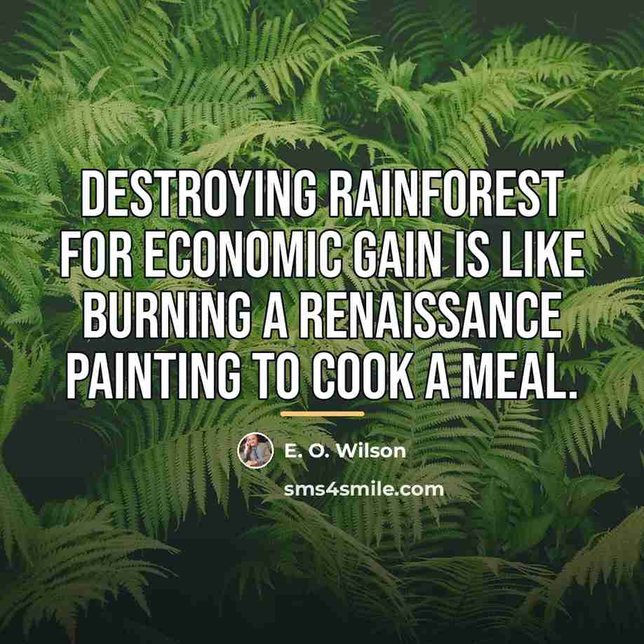 “Destroying rainforest for economic gain is like burning a Renaissance…” quote by E. O. Wilson