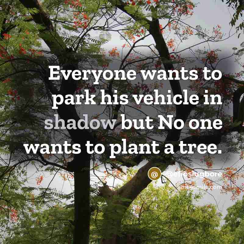 “Everyone wants to park his vehicle in shadow but No…” quote by @efiosiugbore