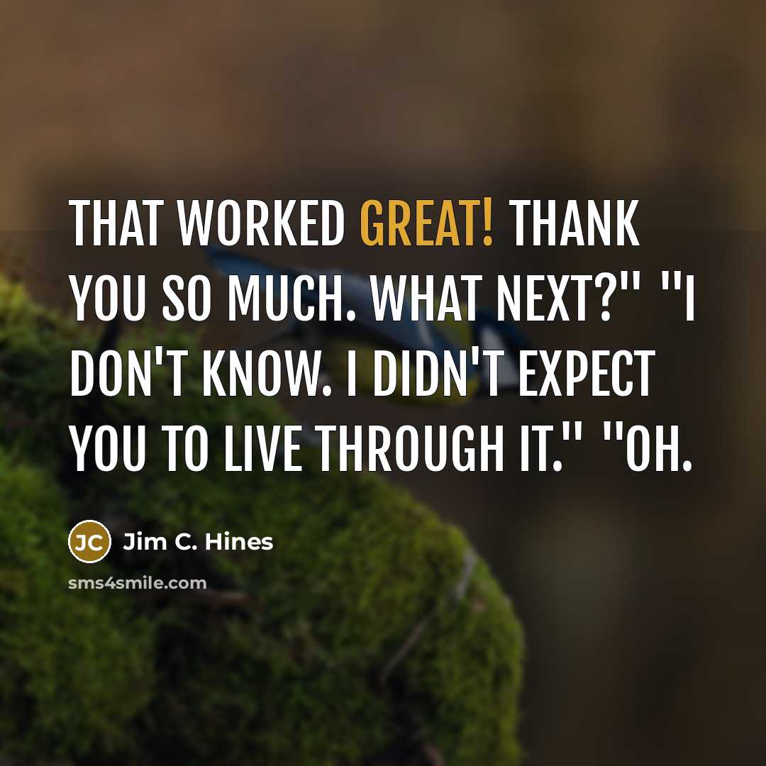 “That worked great! Thank you so much. What next?" "I…” quote by Jim C. Hines