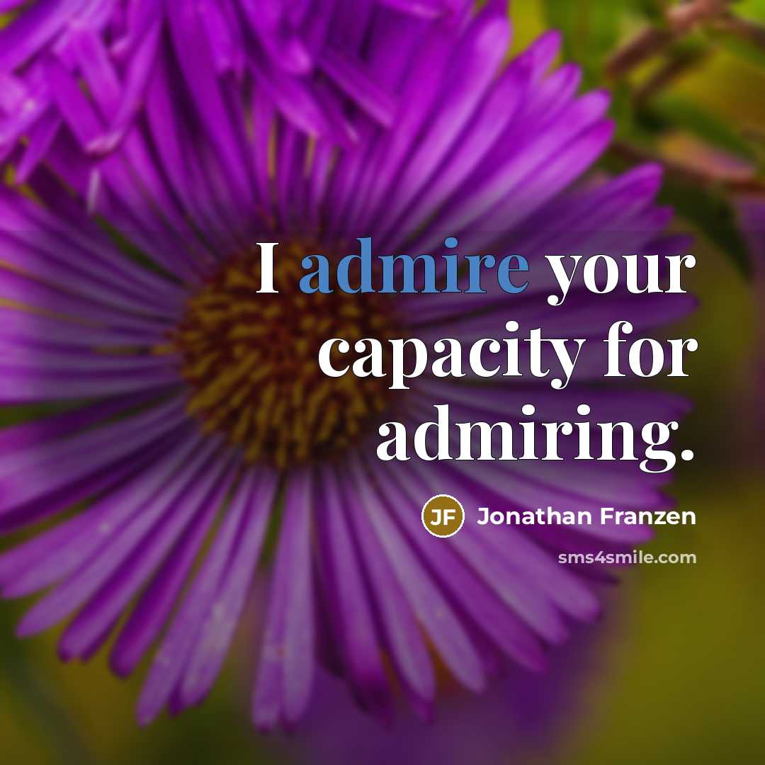 “I admire your capacity for admiring.…” quote by Jonathan Franzen
