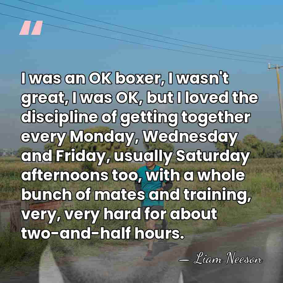I was an OK boxer, I wasn't great, I was OK, but&hellip; - Liam Neeson