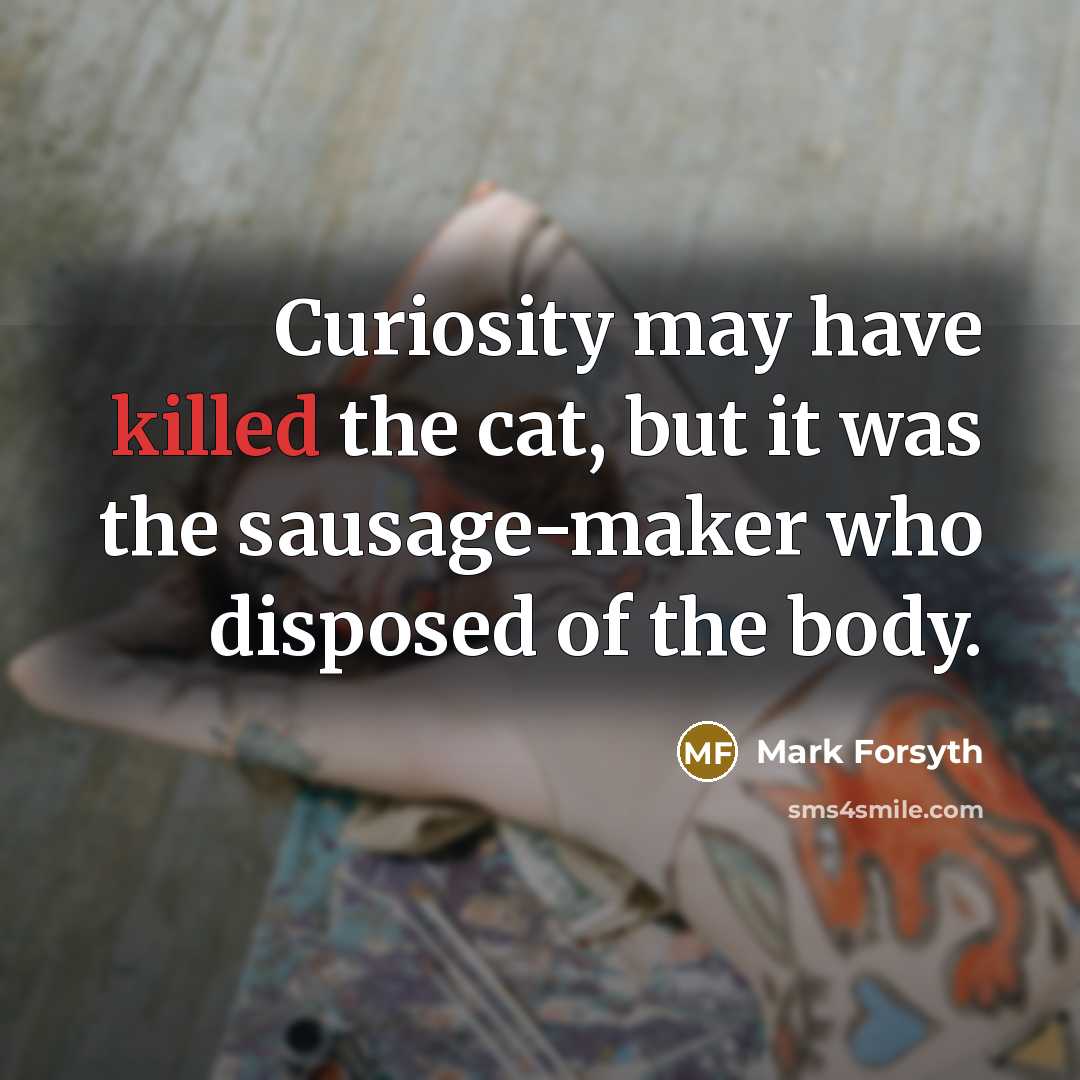 “Curiosity may have killed the cat, but it was the…” quote by Mark Forsyth