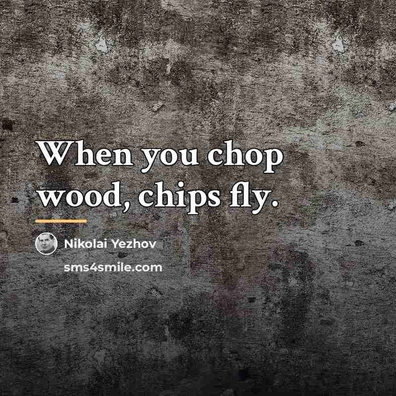 “When you chop wood, chips fly.…” quote by Nikolai Yezhov