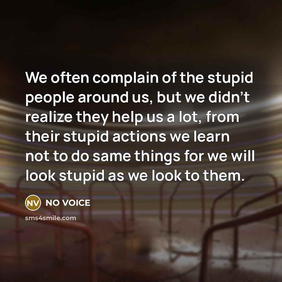 “We often complain of the stupid people around us, but…” quote by NO VOICE
