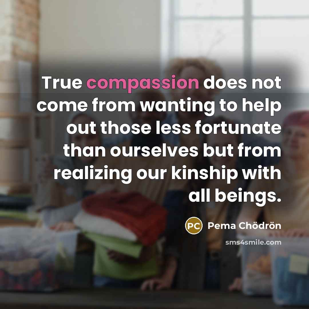 “True compassion does not come from wanting to help out…” quote by Pema Chodron
