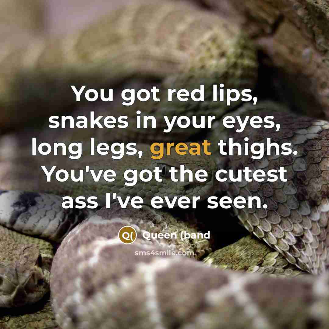 “You got red lips, snakes in your eyes, long legs,…” quote by Queen (band