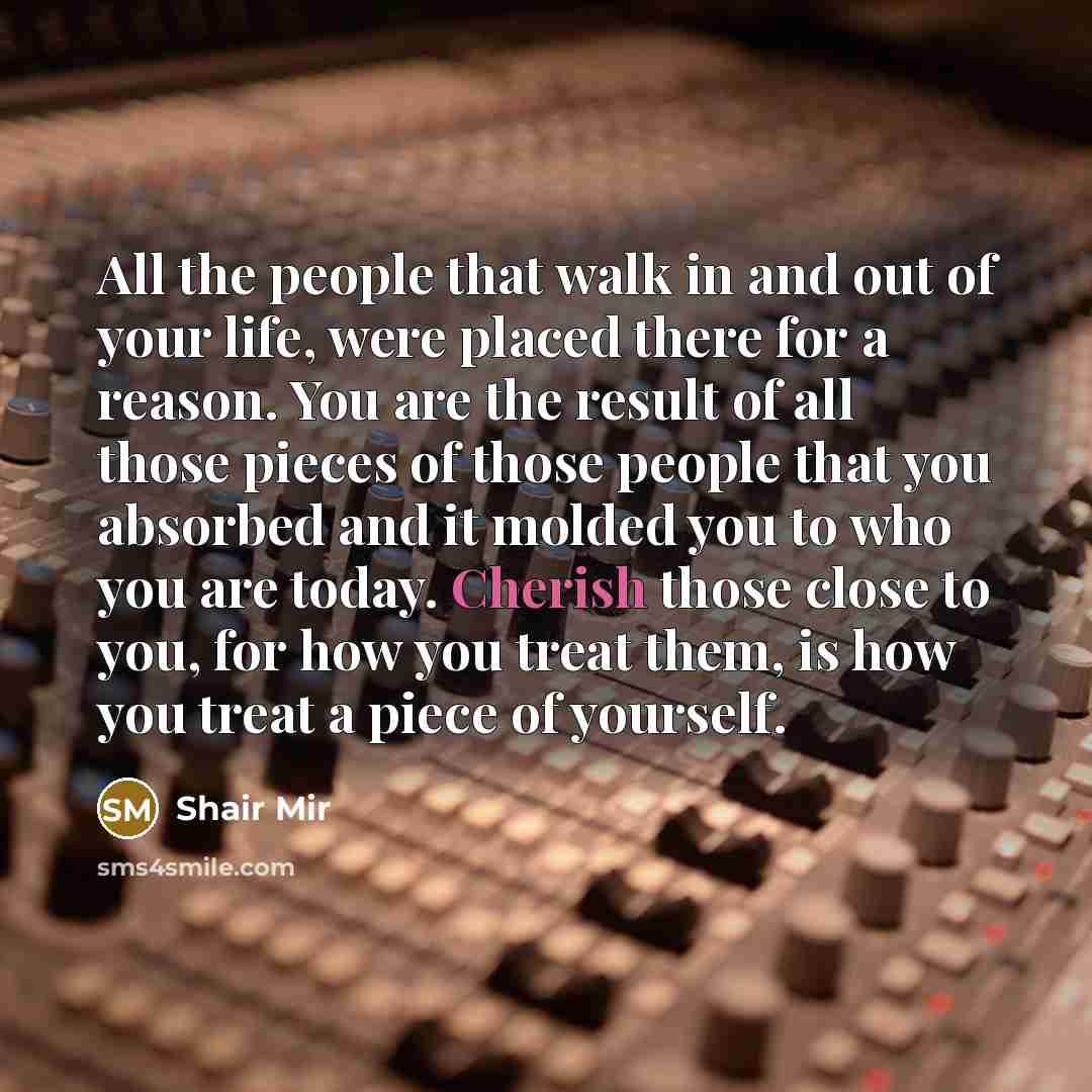“All the people that walk in and out of your life, were placed there for a reason. You are the result of all those pieces of those people that you absorbed and it molded you to who you are today. Cherish those close to you, for how you treat them, is how you treat a piece of yourself.” quote by Shair Mir