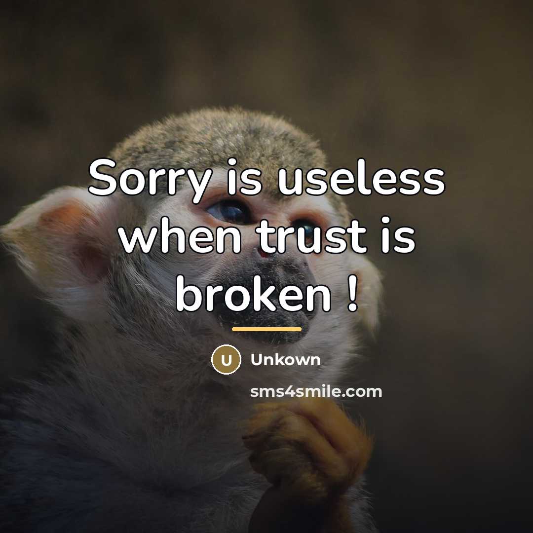 “Sorry is useless when trust is broken !…” quote by Unkown