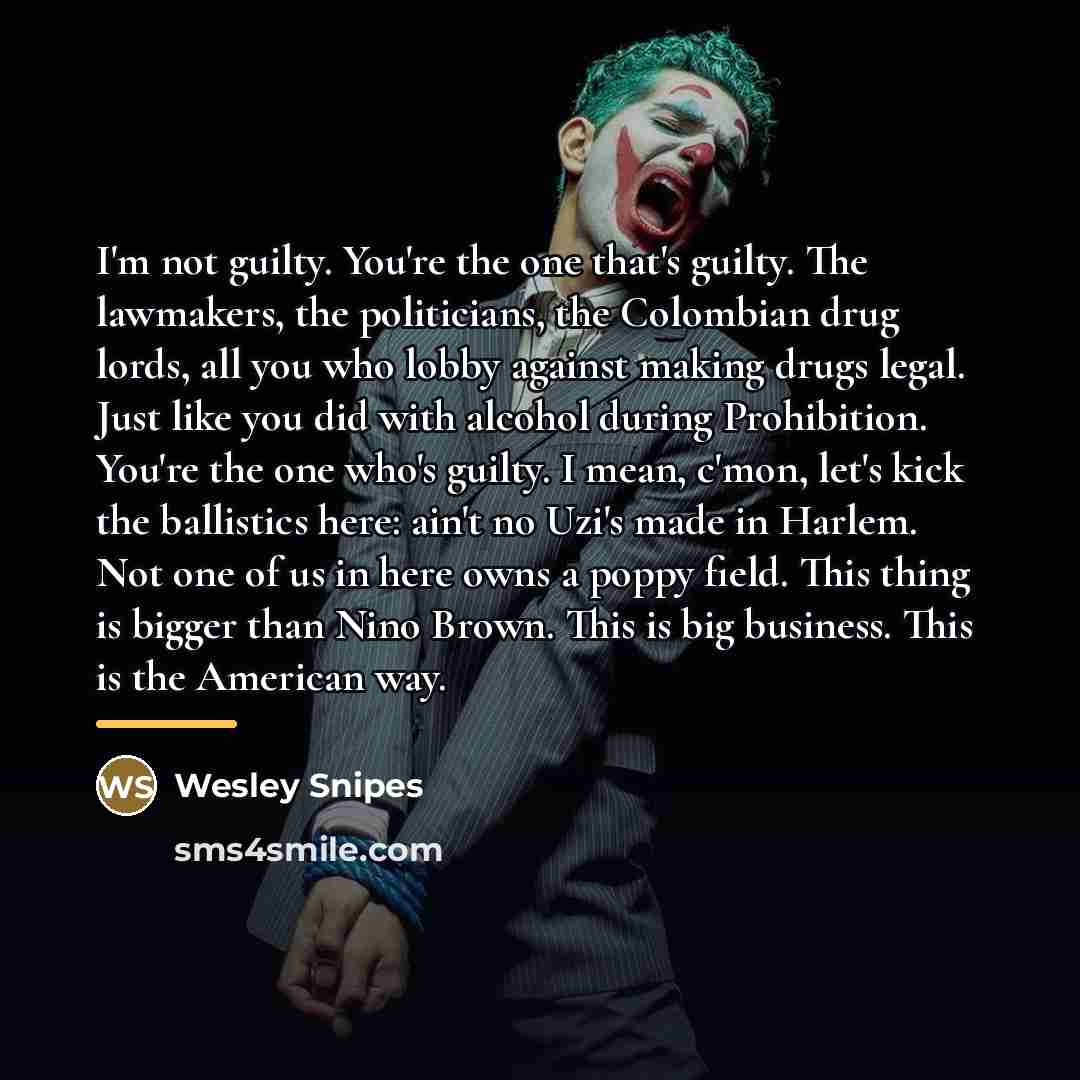 “I'm not guilty. You're the one that's guilty. The lawmakers,…” quote by Wesley Snipes