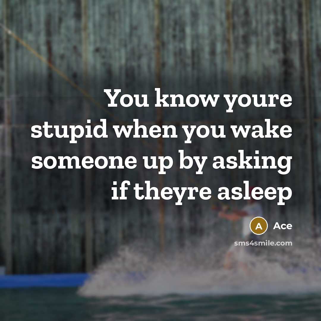 “You know youre stupid when you wake someone up by asking if theyre asleep” quote by Ace