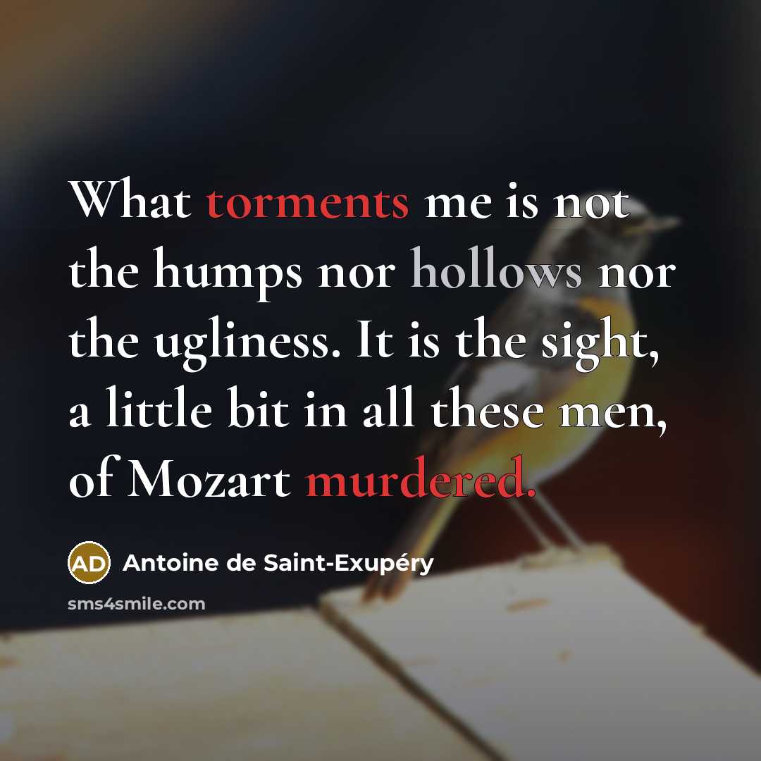 “What torments me is not the humps nor hollows nor…” quote by Antoine de Saint-Exupery