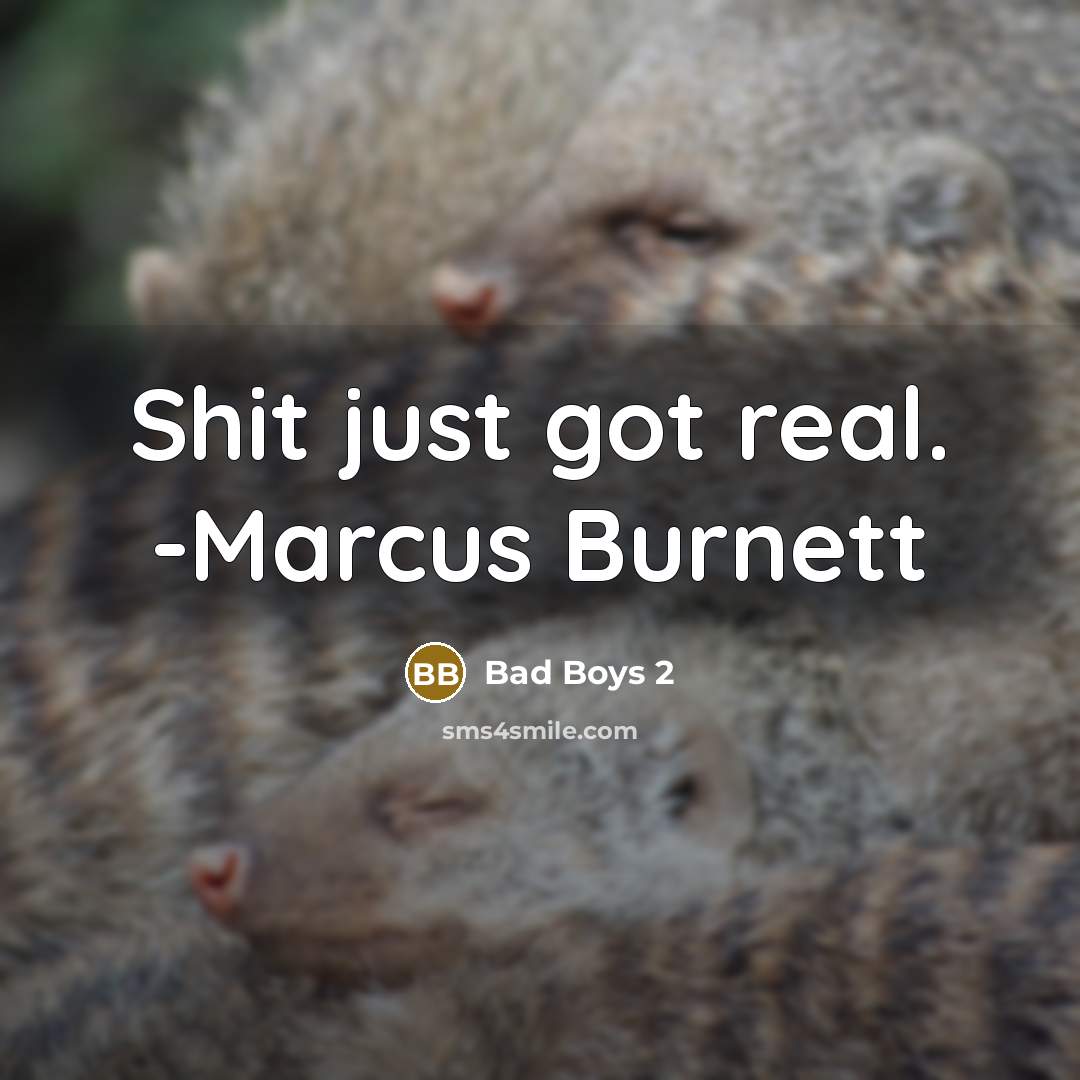 “Shit just got real. -Marcus Burnett” quote by Bad Boys 2