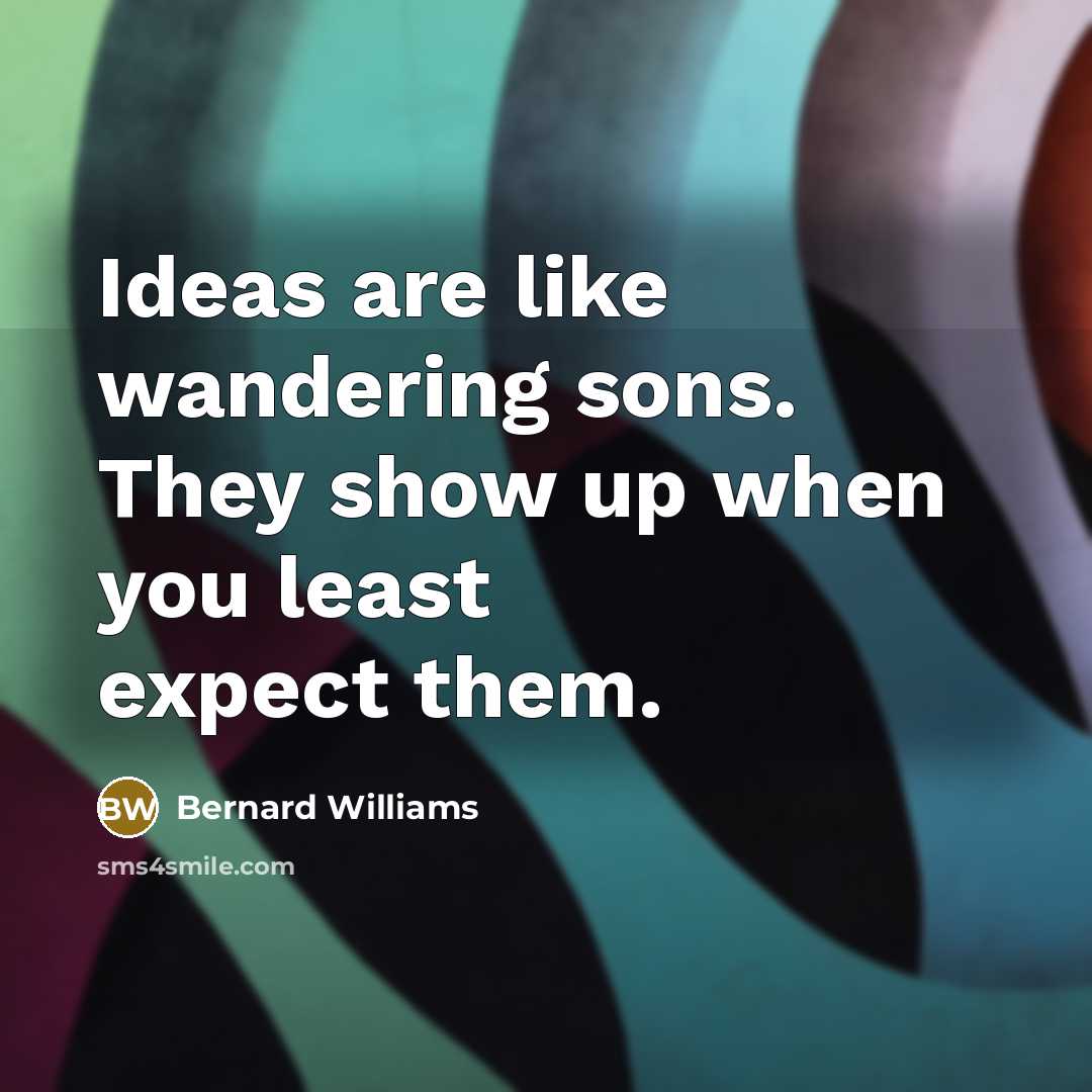 “Ideas are like wandering sons. They show up when you…” quote by Bernard Williams