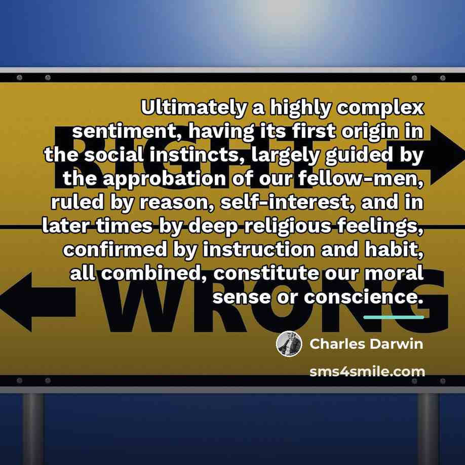 “Ultimately a highly complex sentiment, having its first origin in…” quote by Charles Darwin